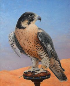 Desert Hunter 61 x 50 cm