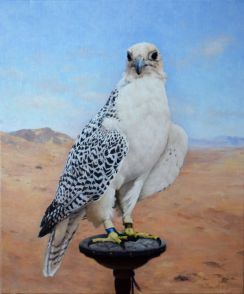 Gyre Falcon 55 x 46 cm