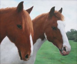 Marius, Junior 46 x 55 cm