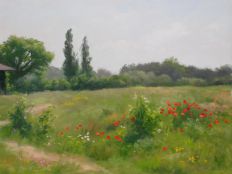 Prairie d‘été 27 x 35 cm