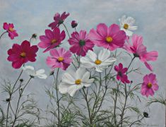 Cosmos 38 x 46 cm